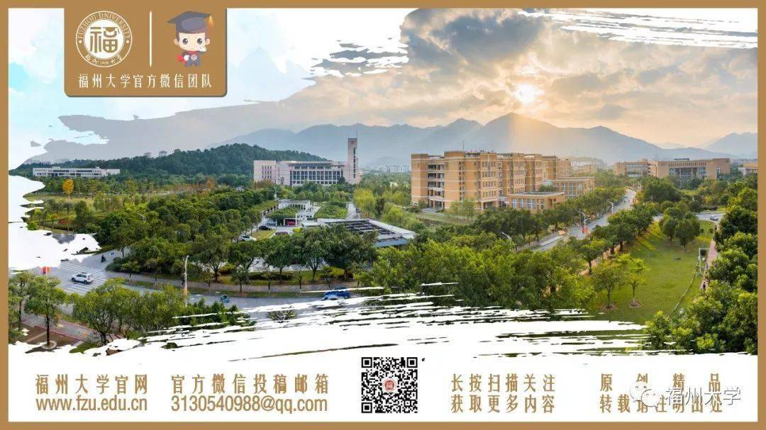 福州大学2021年录取分数线深度解析