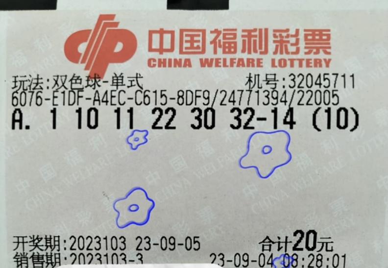 双色球胆拖投注策略与金额对照表，解锁高效选号与理性投注的秘密