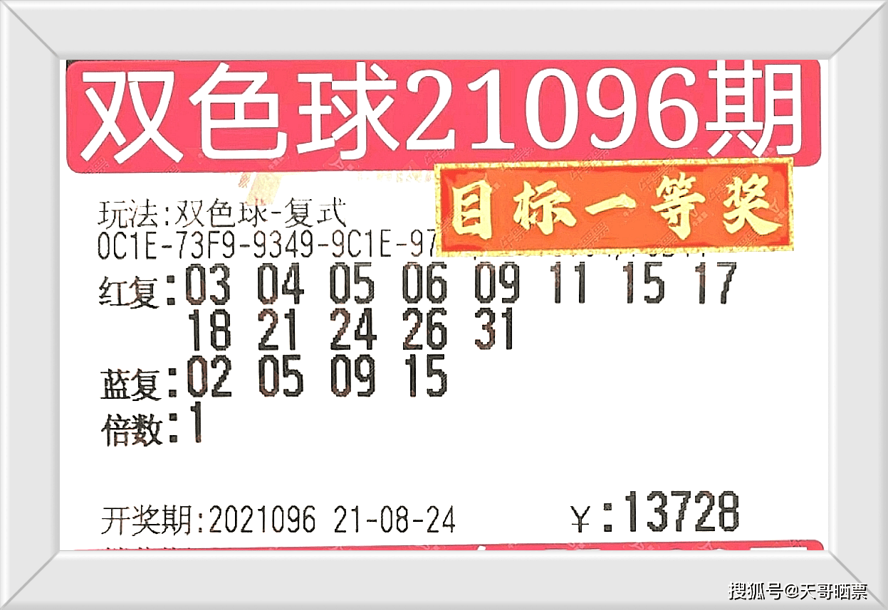 2010年96期双色球开奖号，一场幸运的邂逅
