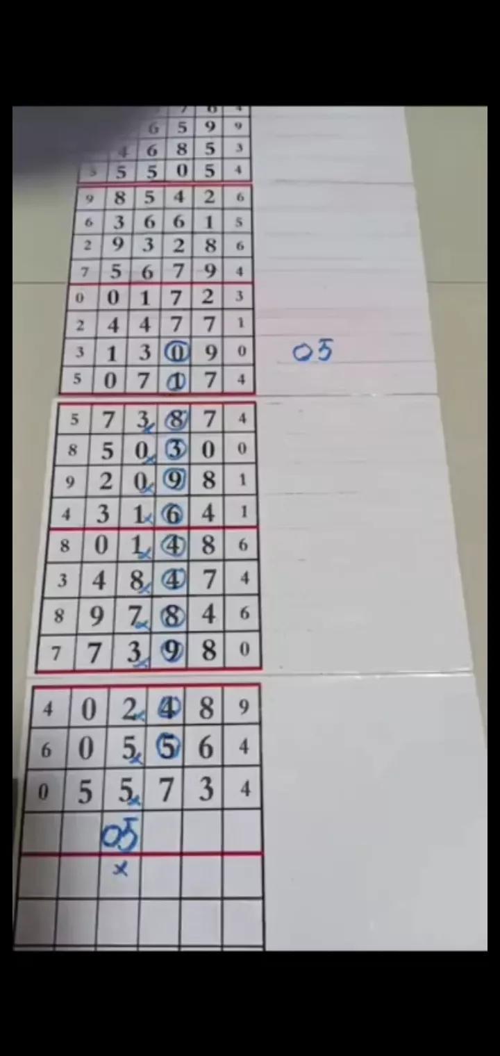 排列三近100期开奖结果走势分析，数据背后的规律与策略