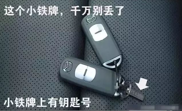 独胆3D，解锁数字世界的神秘钥匙