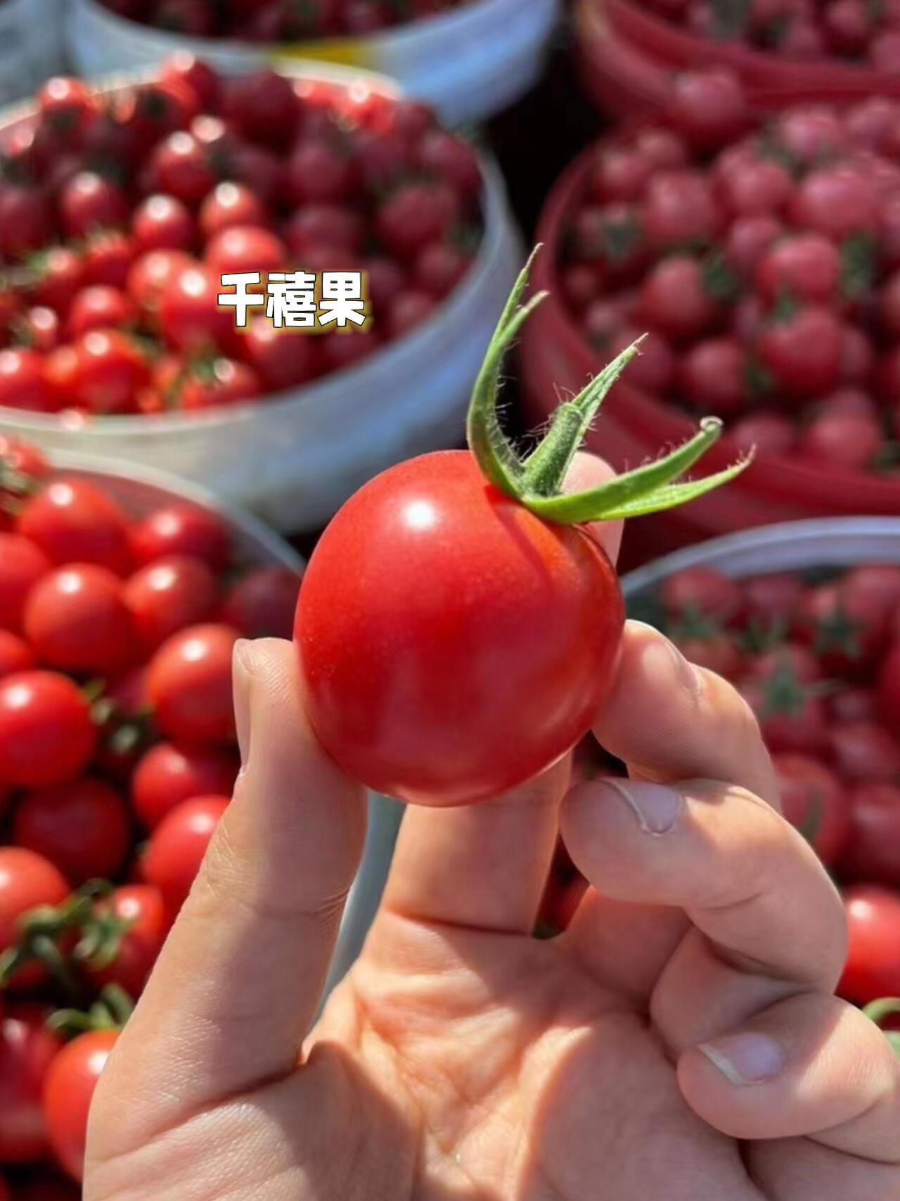 千禧果，小小身躯，大大健康益处