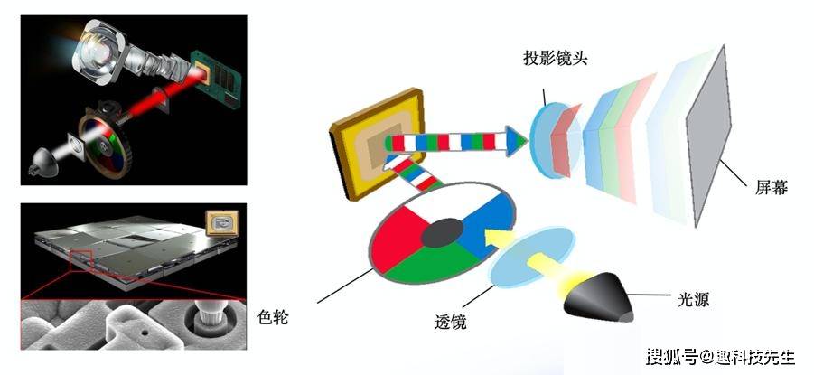 探索3D彩之网绕胆码的奥秘