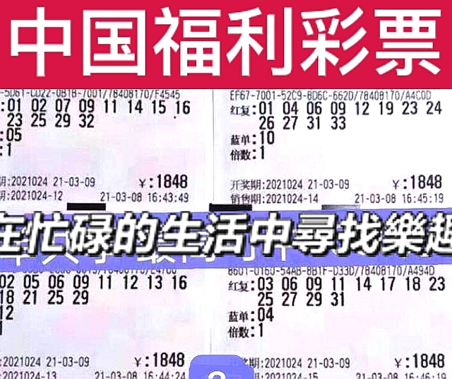 探索双色球，开奖号查询的乐趣与技巧