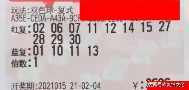 梦想与幸运 第10页