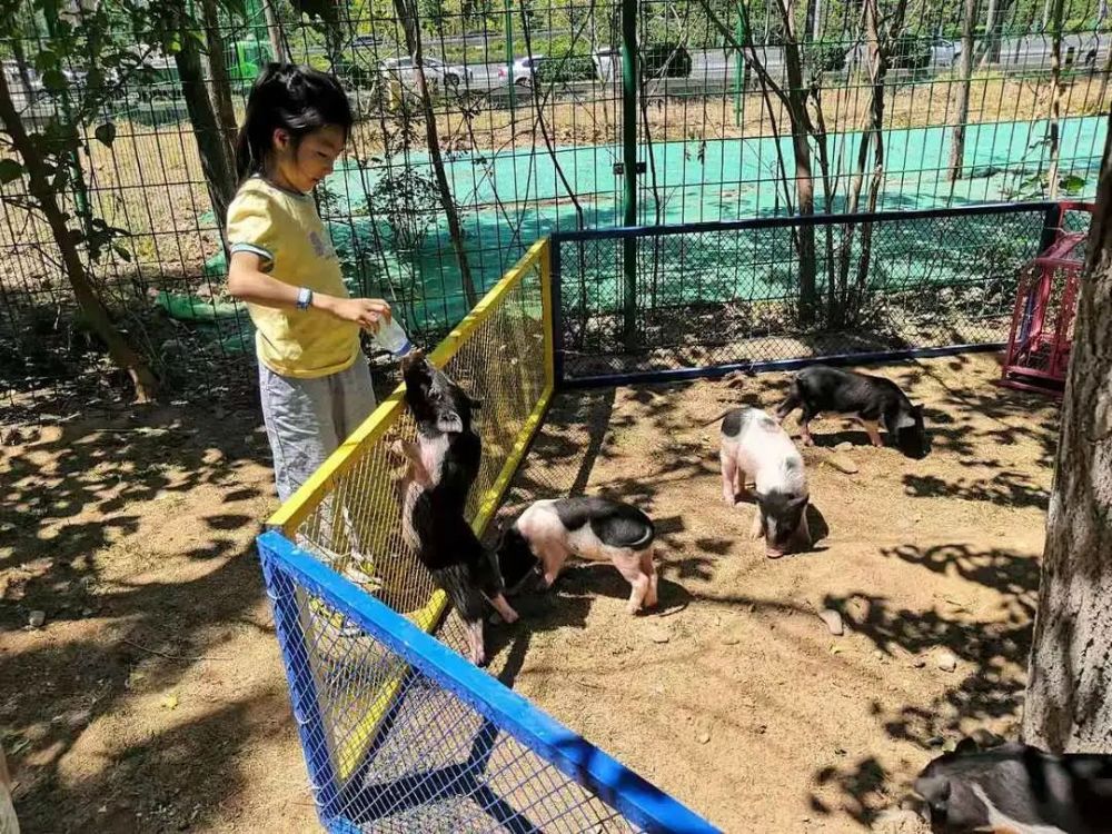 产品介绍 第85页