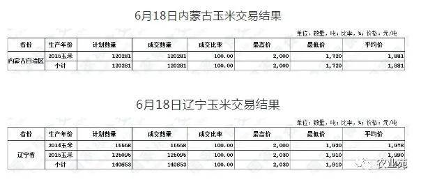探索大乐透彩经网走势图100期，数据背后的秘密与策略