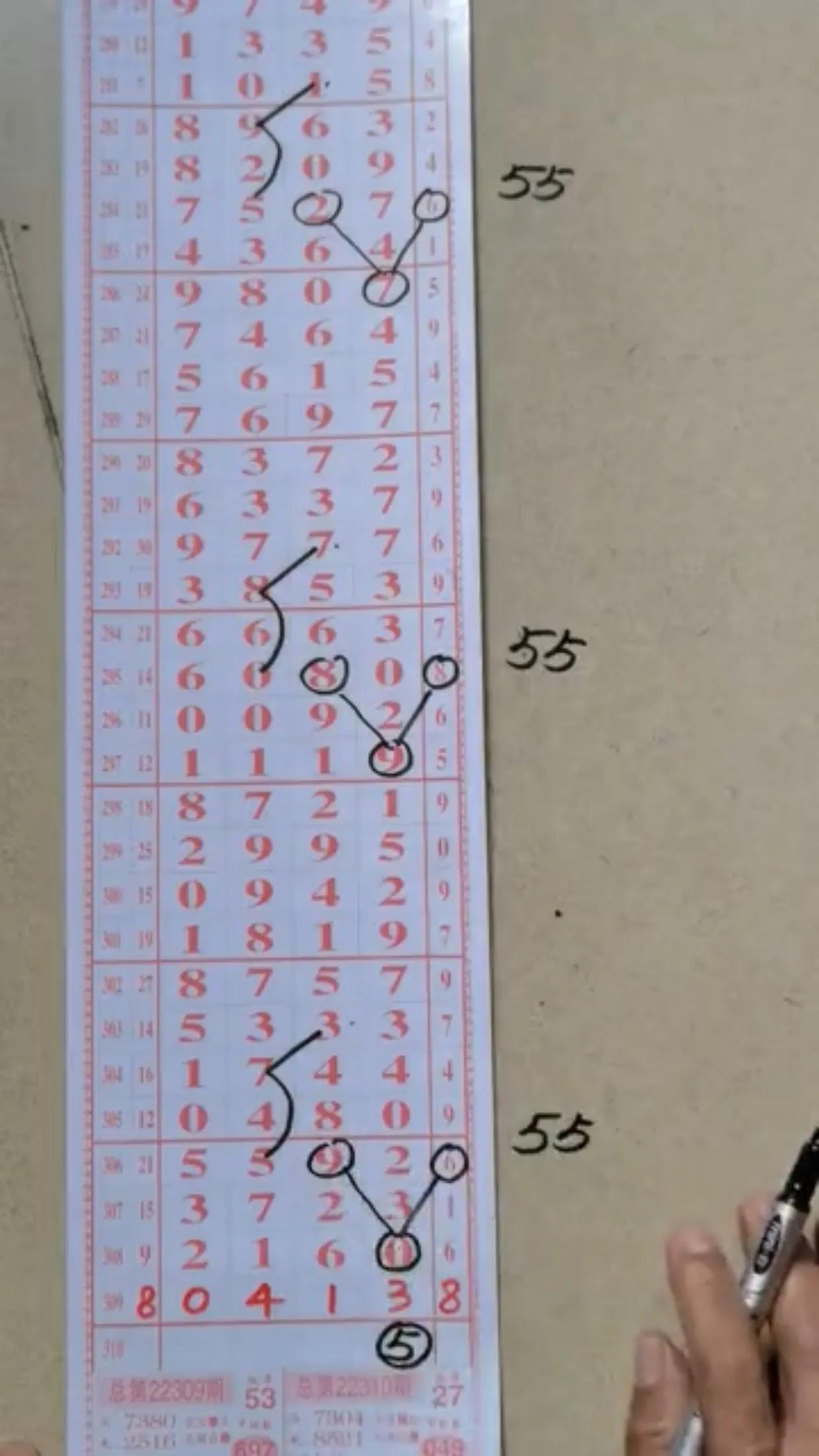 排列3历史号码统计，揭秘数字背后的规律与趋势