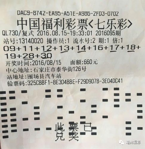 排列三试机号，揭秘彩票背后的数字游戏