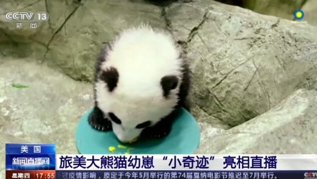 探索数字的奇迹，大乐透在线直播开奖的奇妙之旅