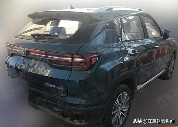 114自助查询系统，便捷生活的智慧之选