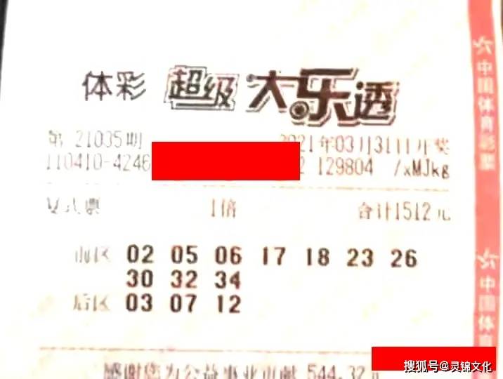 浙江风采网大乐透，探索所有号码走势图的奥秘