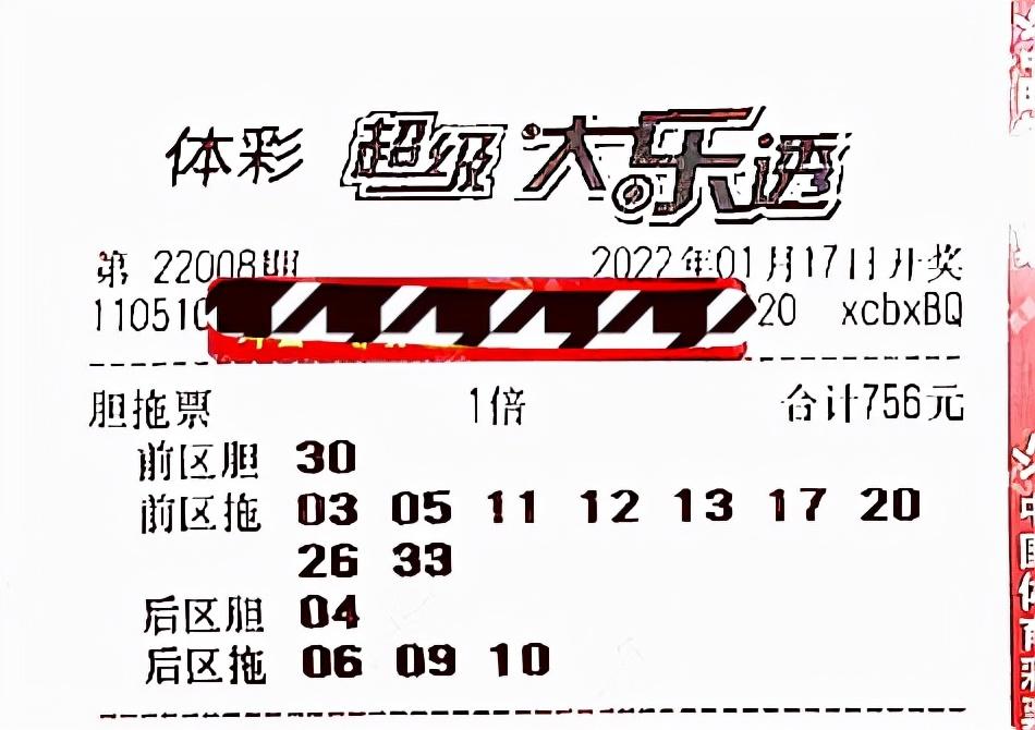 胆拖策略