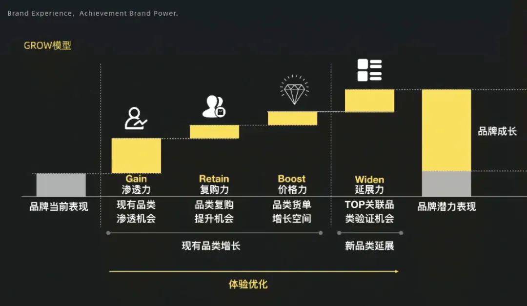 彩客完整比分现场，深度解析与用户体验