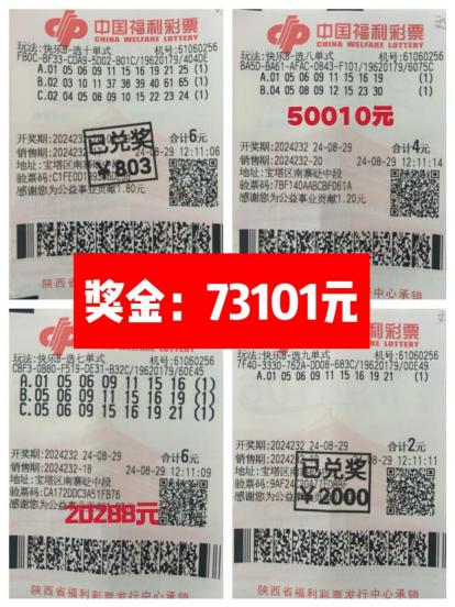 探索体彩福建31选7走势图电脑版，数字游戏中的智慧与乐趣