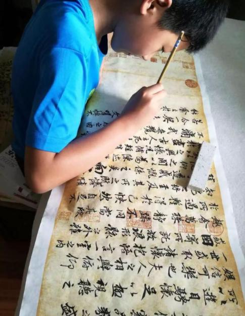 广西11选5开奖结果查询，揭秘数字游戏的乐趣与技巧