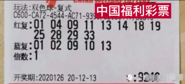 深度解析与查询指南