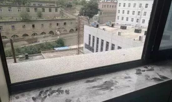 悲剧的回响，一女子坠楼身亡的深度剖析