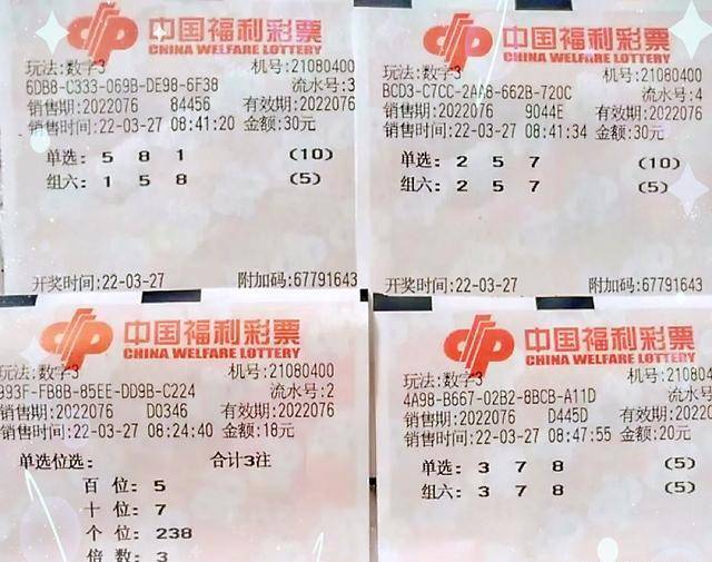 一注直选20倍投注，理性与激情的双重博弈