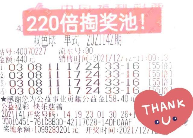 500网双色球媒体预测，理性与娱乐的平衡