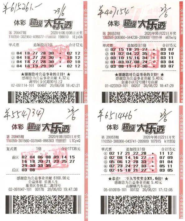 福建省体彩31历史开奖结果，回顾与展望