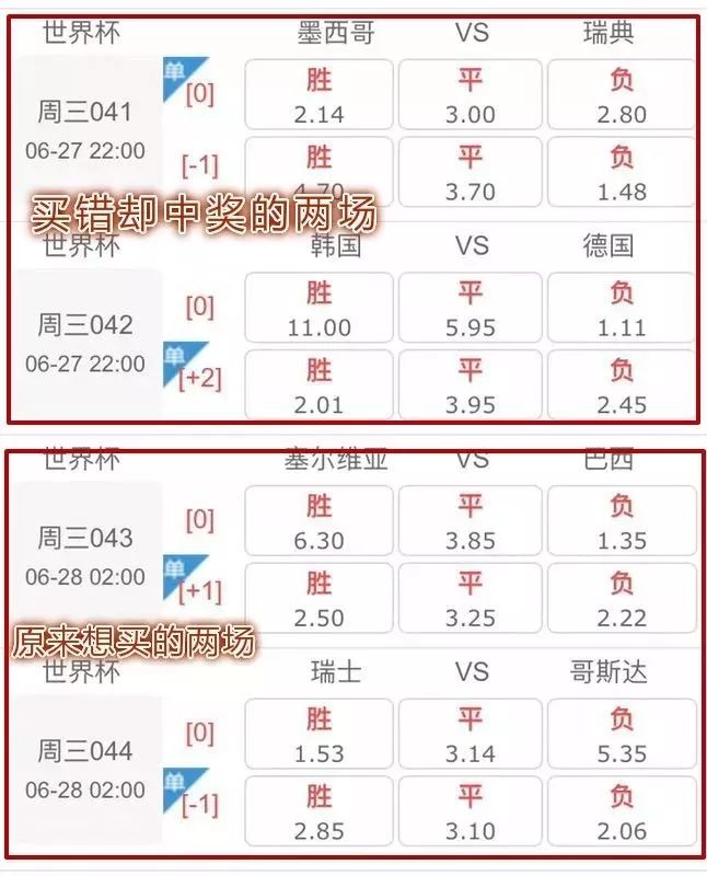 世界杯预选赛，体彩购买的风险与机遇