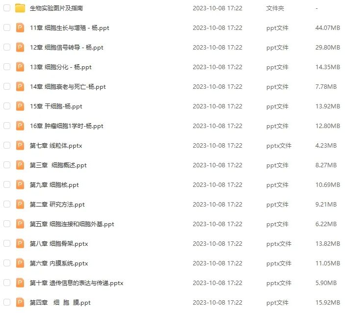2022年正版资料大全，守护知识产权，共享优质资源