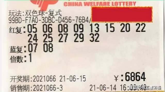 2024全年开奖结果查询，揭秘数字背后的幸运与期待
