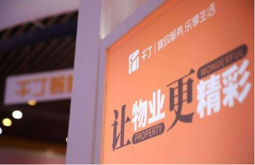 澳门六宝合典，智慧之选与幸运之门的完美结合