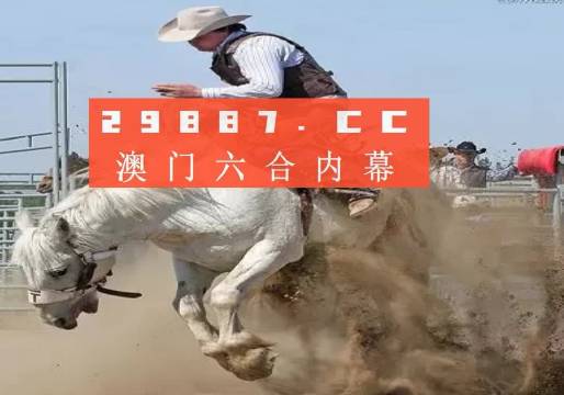 澳门六叔公高手论谈全集视频，深度解析与下载指南