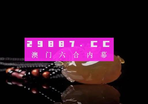 澳门六叔公高手论谈，深度解析与最新版视频播放下载指南