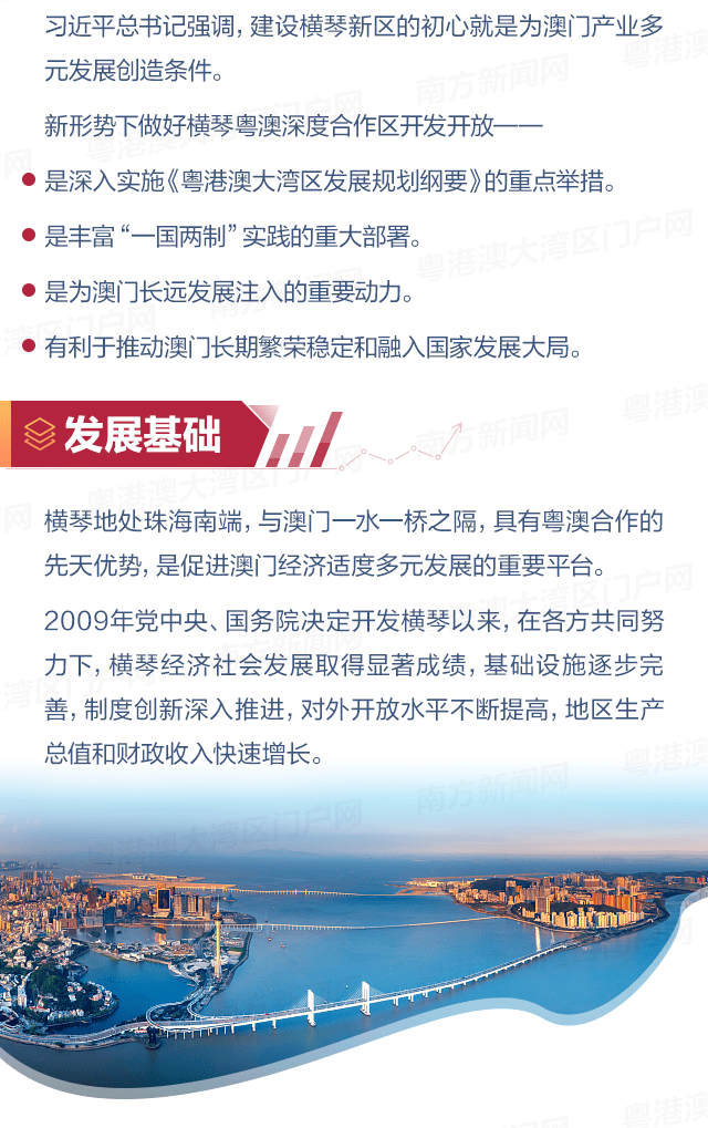 澳门六叔公高手论谈，深度解析与合法下载指南