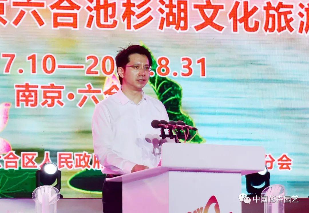 澳门六盒宝典2022年最新版，揭秘澳门彩民的必备神器