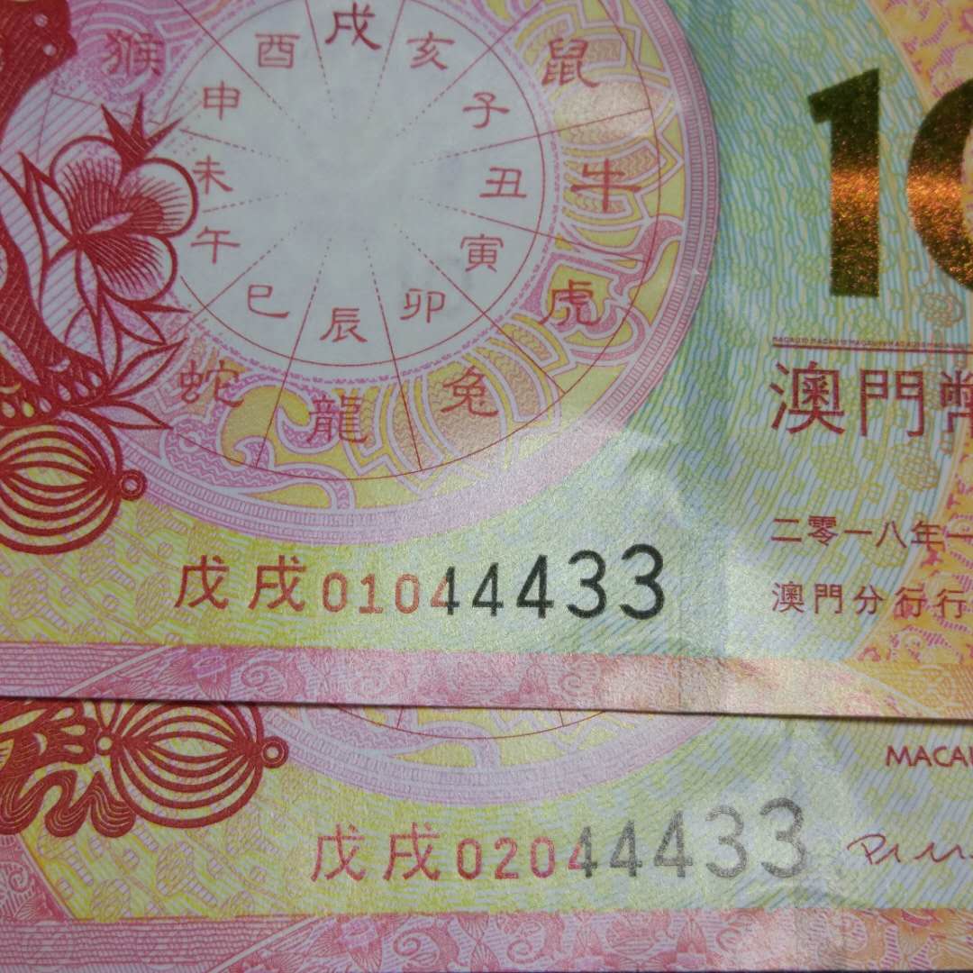2020澳门六会彩生肖揭秘，探寻幸运之门的奥秘